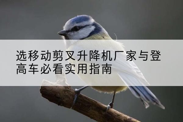 柯坪电动升降机厂家-选移动剪叉升降机厂家与登高车必看实用指南