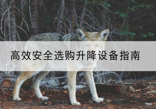 柯坪升降货梯厂家推荐-*安全选购升降设备指南