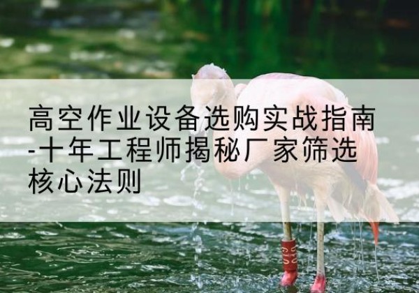 柯坪剪叉式升降机厂家-高空作业设备选购实战指南-十年工程师揭秘厂家筛选核心法则